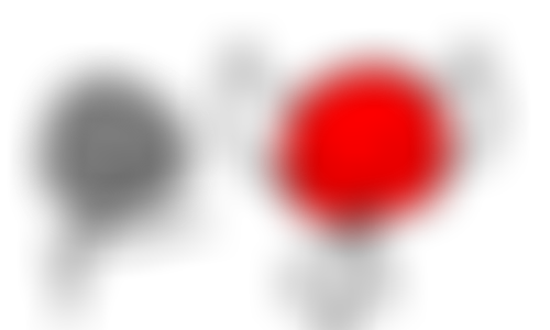 Blocked Pawception Pawprint