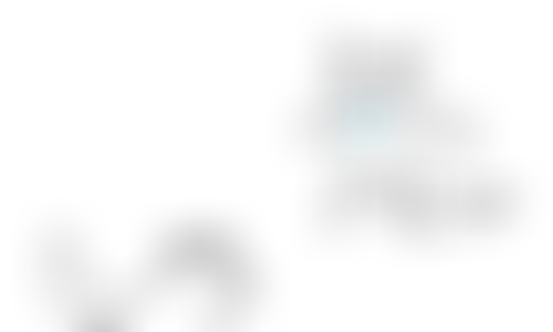 Blocked Pawception Pawprint