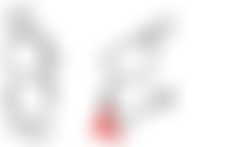 Blocked Pawception Pawprint