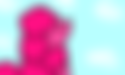 Blocked Pawception Pawprint