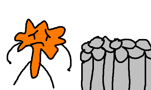 Pawprint by abcormal