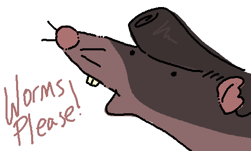 Pawprint by carmenloppe