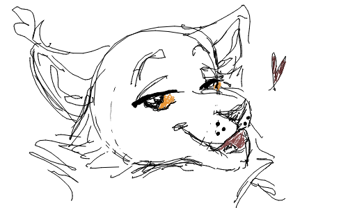 Pawprint by Anonymous