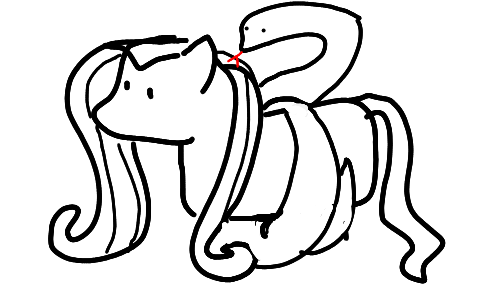 Pawprint by 3pupsinatrenchcoat