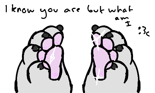 Pawprint by voltybee