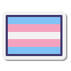 trans flag