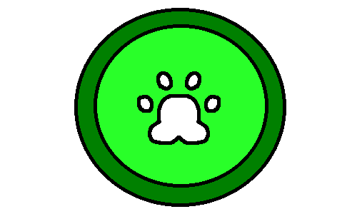Variant 5