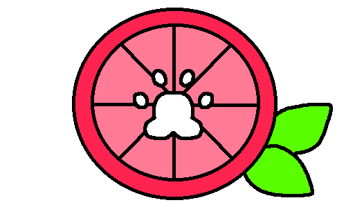 Variant 3