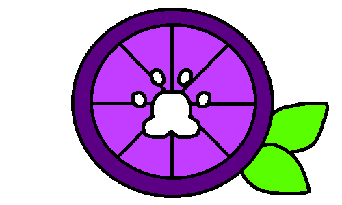 Variant 7