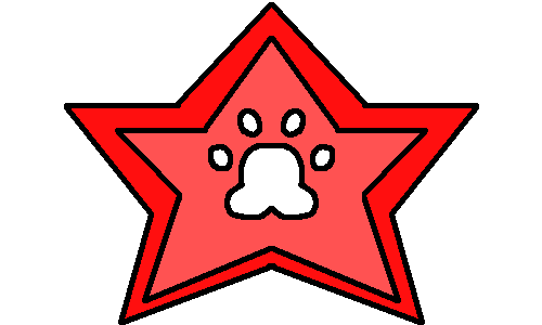 Variant 2