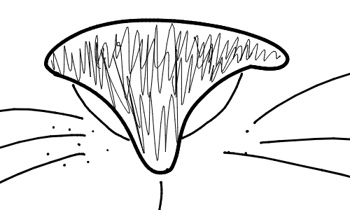 Pawprint by wintersunshine