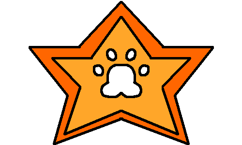 Variant 4