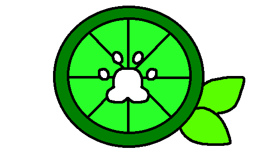 Variant 5