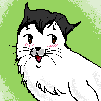Follower Avatar