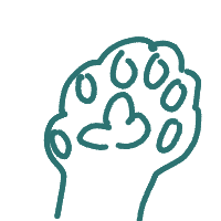 Follower Avatar