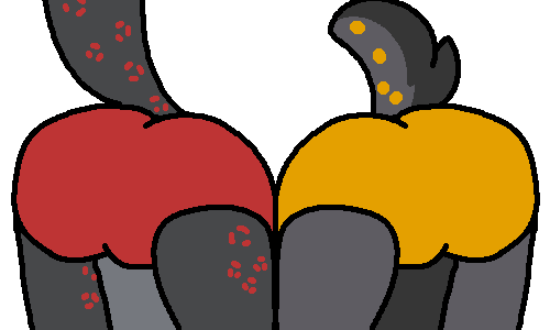 Variant 3