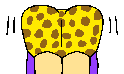 Pawprint